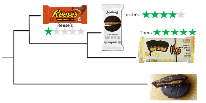 Ethical evaluation of three brands of peanut butter cups: Reese's, Justin's, and Theo.