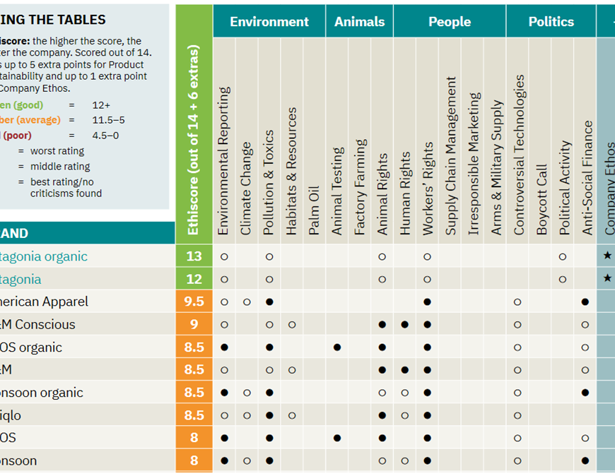 Win a subscription to Ethical Consumer. The image shows detail from a table from Ethical Consumer Magazine. The table ranks clothing brands from best to worst. The top 5 brands shown are Patagonia Organic, Patagonia, American Apparel, H&M Conscious, and ASOS organic.