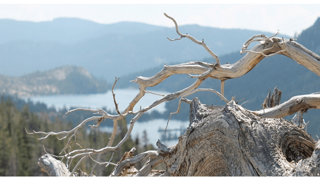 How to evaluate a company, ethics, image of the Desolation Wilderness, Sierra Nevada