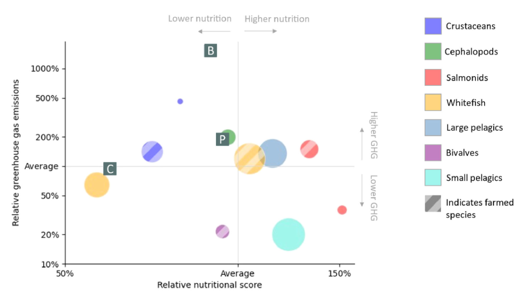 GHG emissions and nutritional scores for various kinds of seafood. The graph shows that small pelagic fish, farmed bivalves, and wild salmonids score best by having a combination of low carbon footprint and high nutritional content.
What’s the most sustainable kind of seafood?